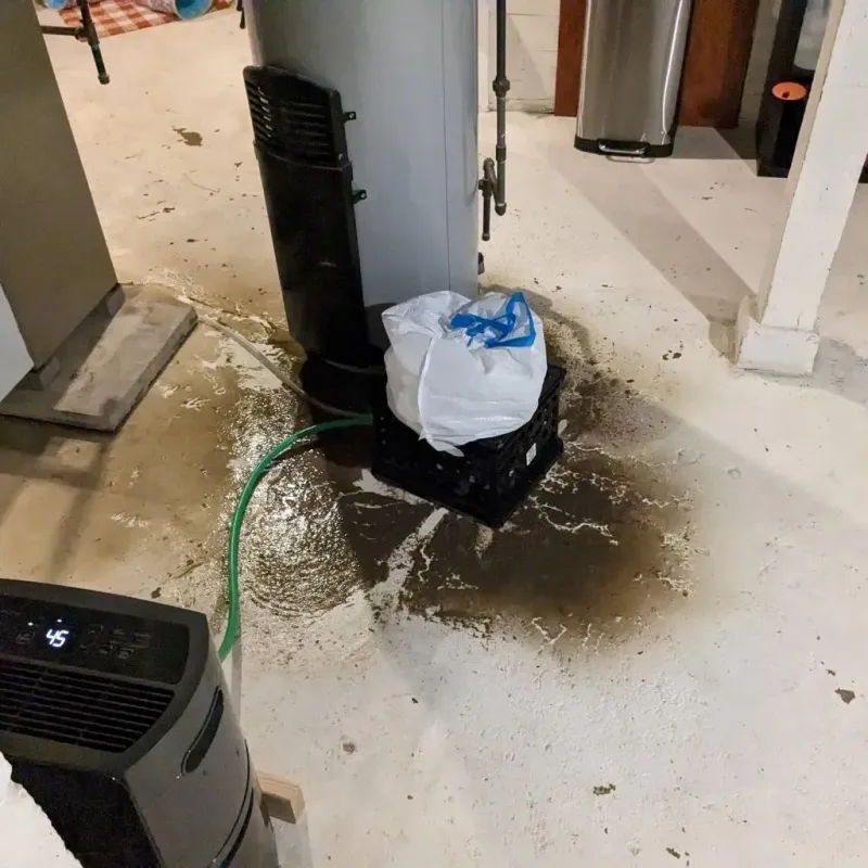 Sewage Backup Cleanup Service in Winston County, AL